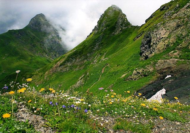 Где отдохнуть летом Где отдохнуть летом