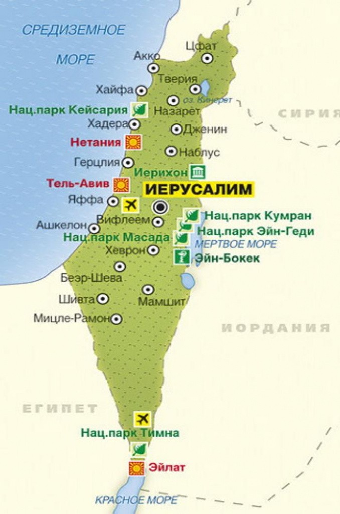 Медузы в Израиле – в какой сезон их можно встретить? Медузы в Израиле – в какой сезон их можно встретить?