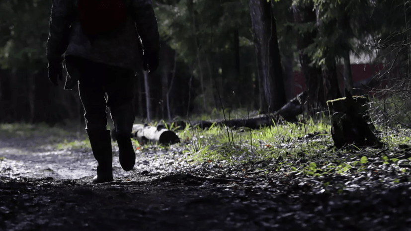 Запреты и ограничения на посещение лесов ввели в 98 районах Белоруссии