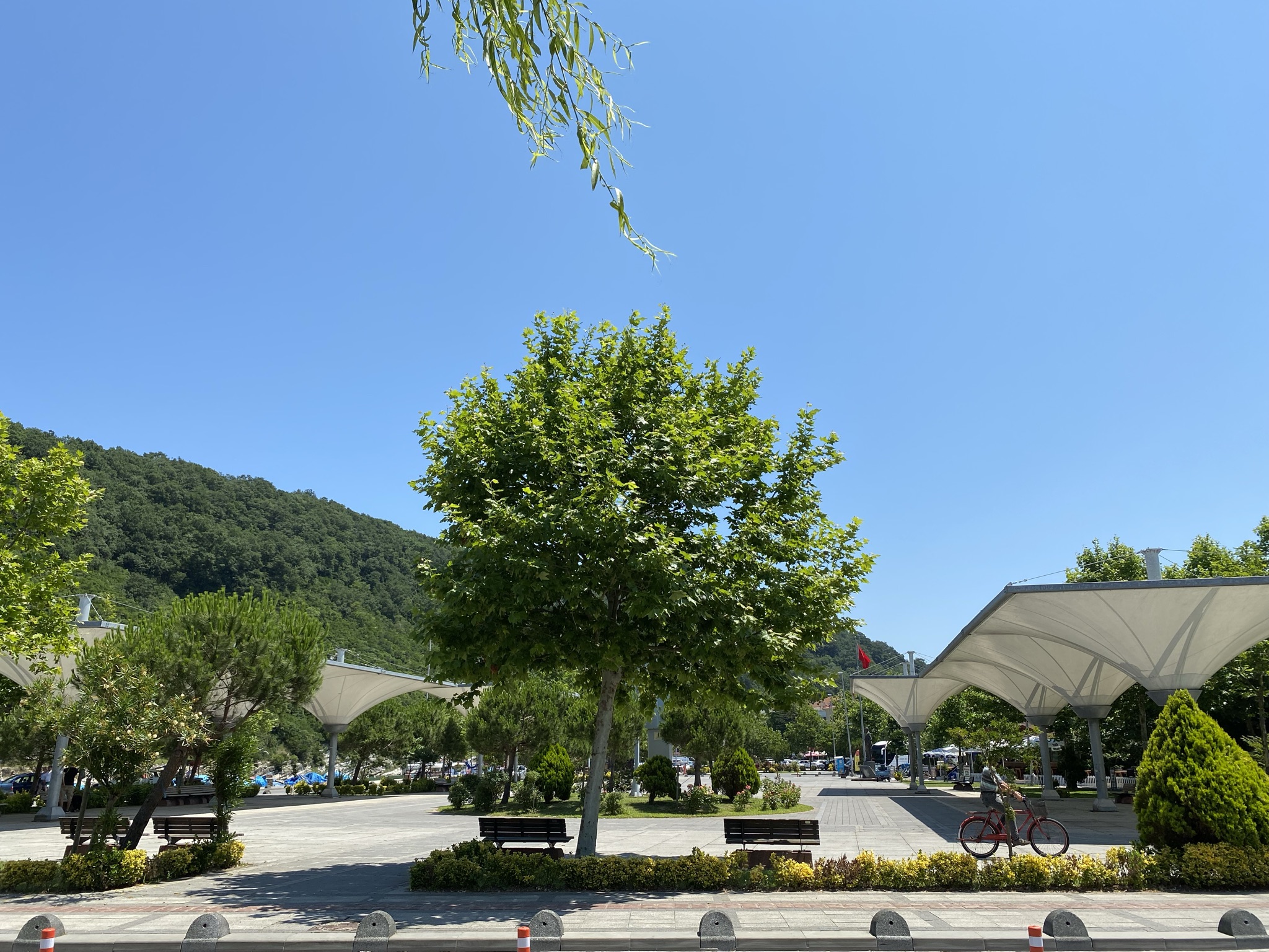 Черноморское побережье Турции — лучшие курорты и города для туристов Черноморское побережье Турции — лучшие курорты и города для туристов