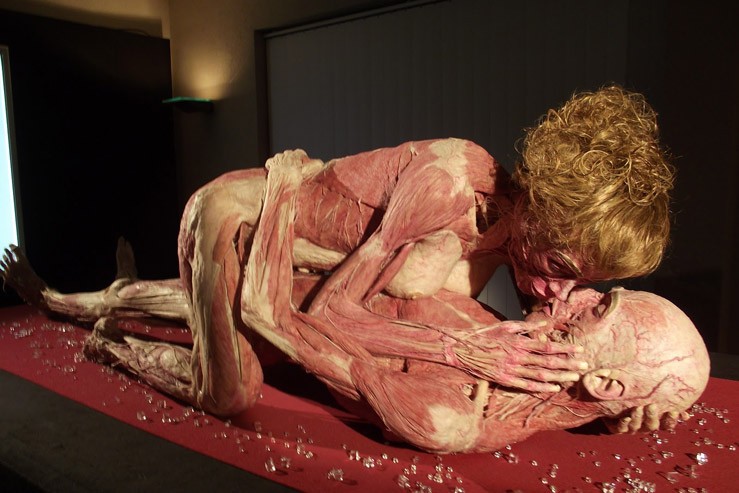 Самые необычные музеи Германии