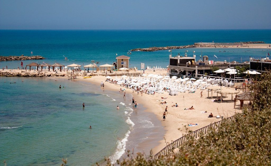 Медузы в Израиле – в какой сезон их можно встретить? Медузы в Израиле – в какой сезон их можно встретить?