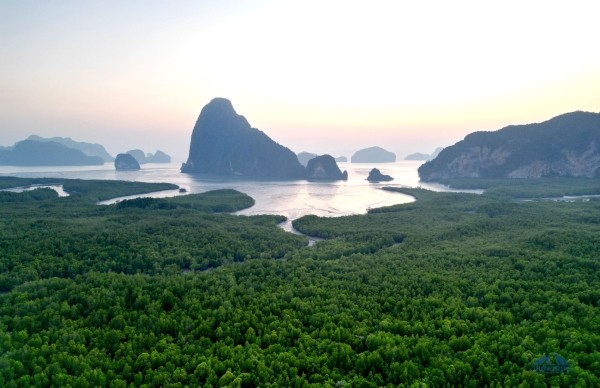 Цены на Пхукете (Таиланд) — 2023: личный опыт. Еда, экскурсии, аренда байка Цены на Пхукете (Таиланд) — 2023: личный опыт. Еда, экскурсии, аренда байка