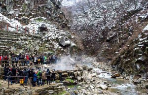 Парк обезьян Джигокудани — место № 10 | tourweek Парк обезьян Джигокудани — место № 10 | tourweek