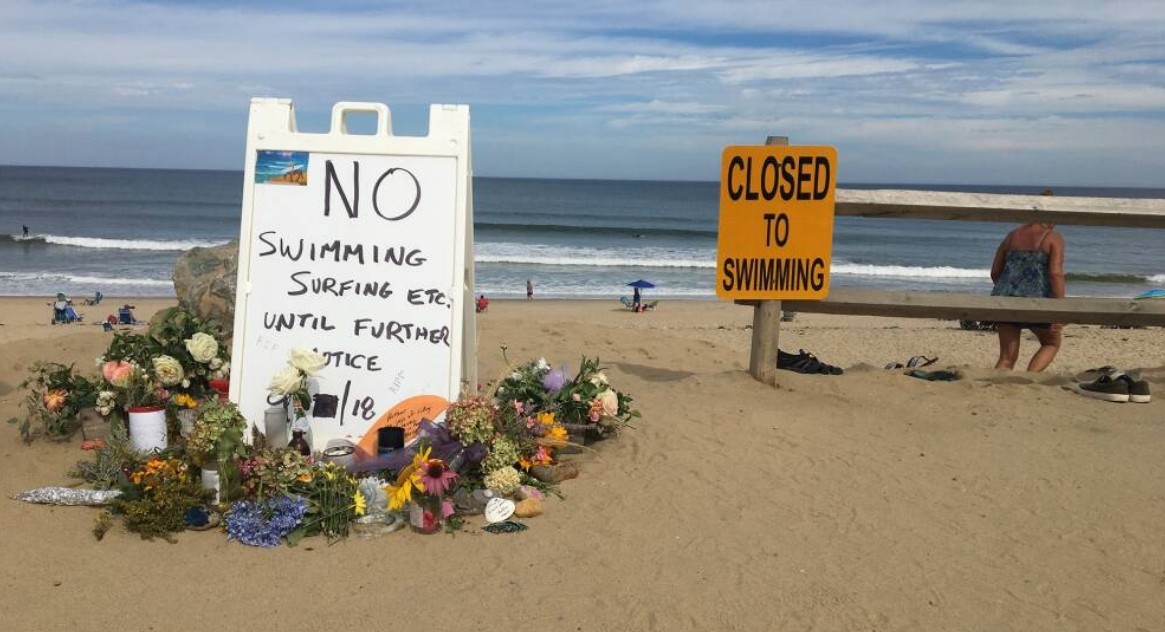 Как не стать жертвой акулы: 10 простых правил