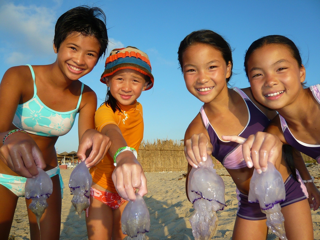 Сезон медуз в Тунисе Сезон медуз в Тунисе