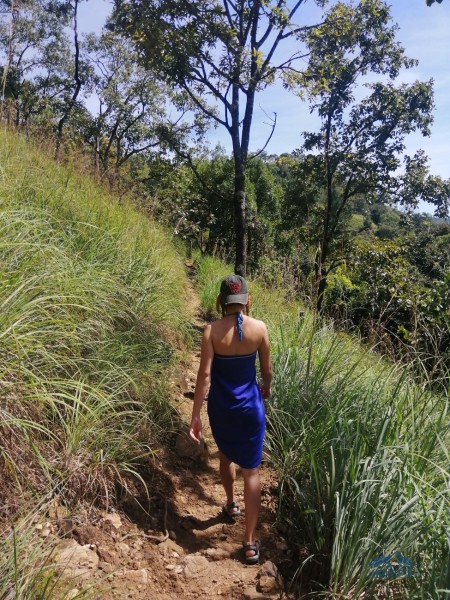 Цены на Шри-Ланке — 2023: еда, развлечения, жилье Цены на Шри-Ланке — 2023: еда, развлечения, жилье