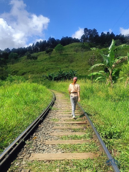 Цены на Шри-Ланке — 2023: еда, развлечения, жилье Цены на Шри-Ланке — 2023: еда, развлечения, жилье