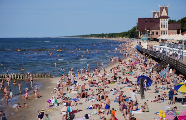 Аренда авто в Калининграде — 2023: мой отзыв, цены и маршрут Аренда авто в Калининграде — 2023: мой отзыв, цены и маршрут