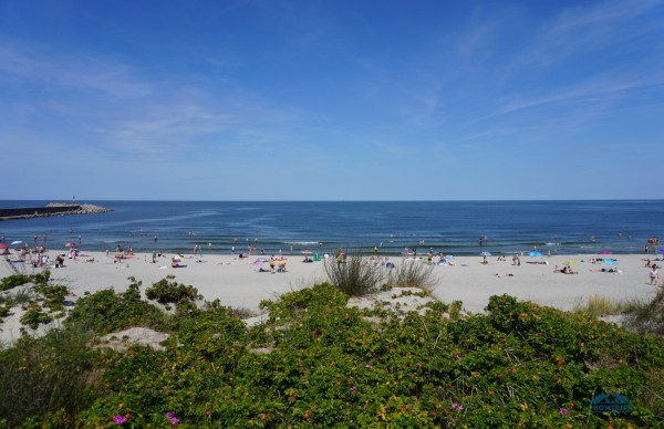 Аренда авто в Калининграде — 2023: мой отзыв, цены и маршрут Аренда авто в Калининграде — 2023: мой отзыв, цены и маршрут