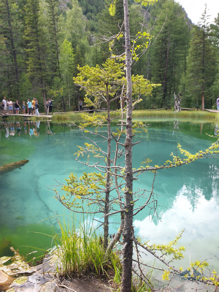 Отдых в Горном Алтае: моя поездка и отзывы туристов в 2023 году Отдых в Горном Алтае: моя поездка и отзывы туристов в 2023 году
