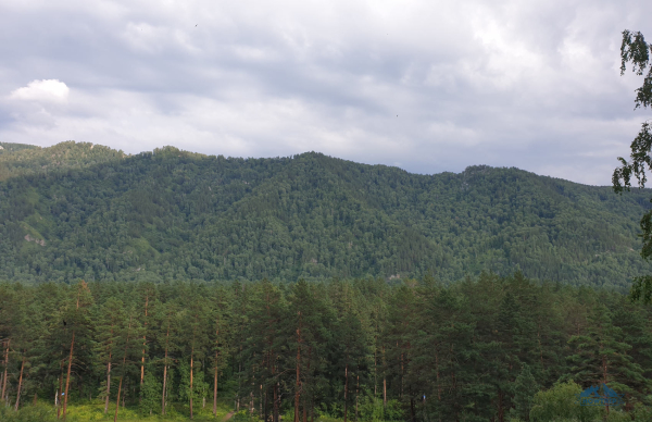 Отдых в Горном Алтае: моя поездка и отзывы туристов в 2023 году Отдых в Горном Алтае: моя поездка и отзывы туристов в 2023 году