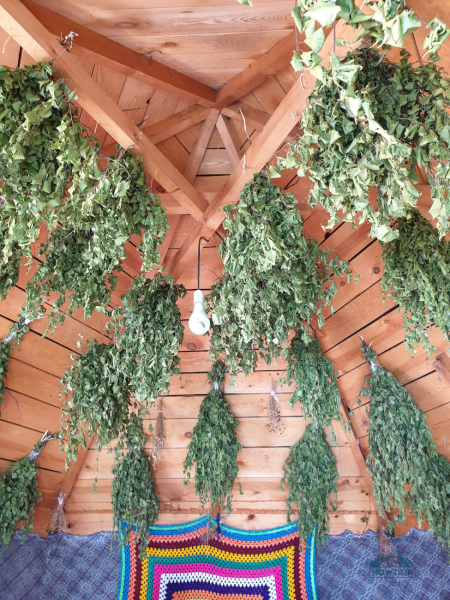 Отдых в Горном Алтае: моя поездка и отзывы туристов в 2023 году Отдых в Горном Алтае: моя поездка и отзывы туристов в 2023 году