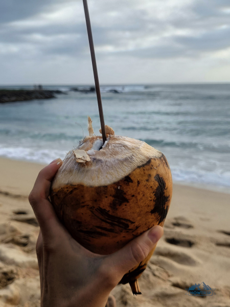 Сезон для отдыха на Шри-Ланке — 2023: когда лучше ехать?