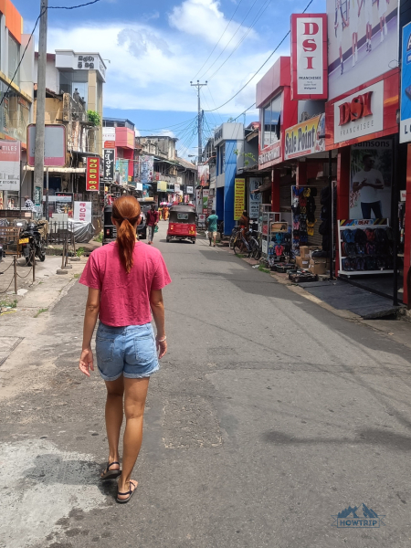 Сезон для отдыха на Шри-Ланке — 2023: когда лучше ехать?