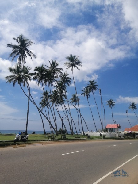 Сезон для отдыха на Шри-Ланке — 2023: когда лучше ехать?