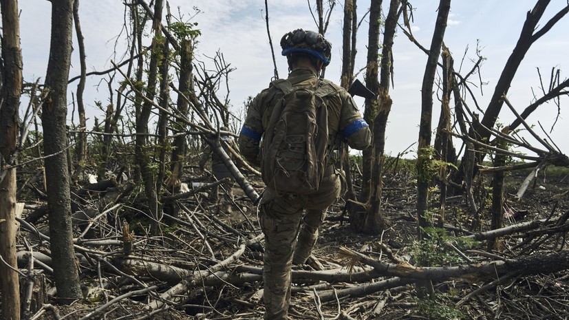 Сенатор Ковитиди: Украина выбрала опасный путь конфронтации с Россией