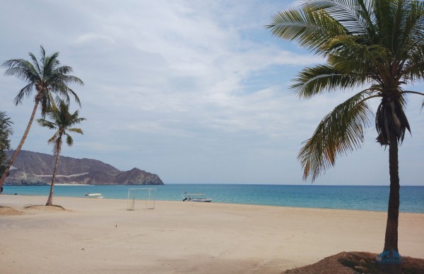 ОАЭ в январе — 2024: погода, отзывы туристов и цены ОАЭ в январе — 2024: погода, отзывы туристов и цены